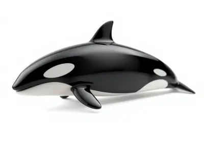 Orca Whale Dynamic Pose model pack Low-poly 3D model