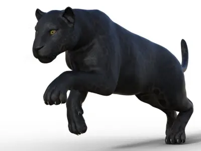 Panter panther 3D model