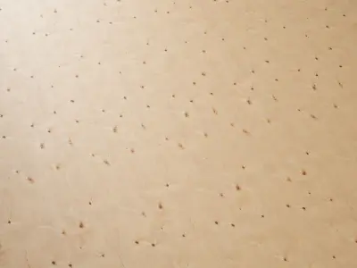 Plywood 02 Texture