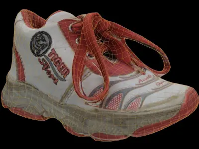 shoes 3d Modal Scan Low-poly 3D model