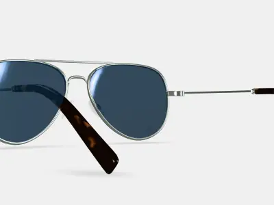 Raider Sunglasses in Polished Silver 3D model