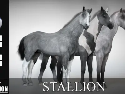 Rigged and Animated Stallion 3D model