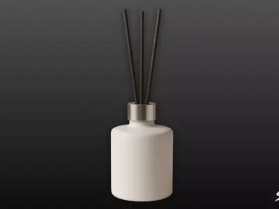 Reed Diffuser Low-poly 3D model