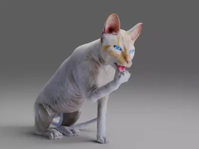 Cat White Rigged in Blender Low-poly 3D model