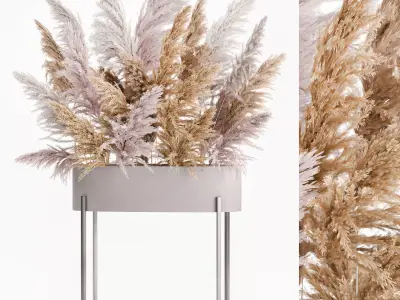 Decorative Bouquet of dried pampas grass 190 3D model