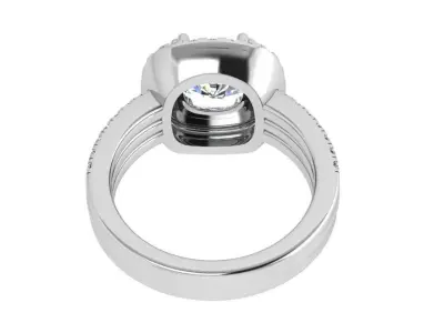 Double Halo Ring 4169 3D print model