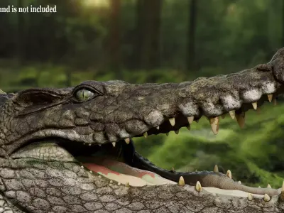Crocodile 2024 3D model