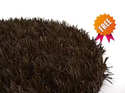 3D carpet mesh DMV303 Free 3D model