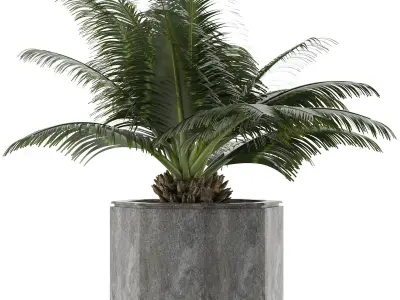 House Plant 28 3D model