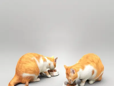 Cat with food bowl 37 Low-poly 3D model