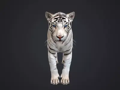 White Tiger 3D model