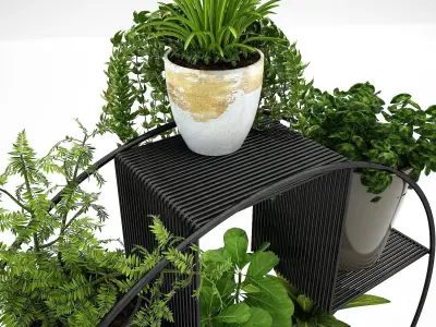 Realistic plants in pots  3D model