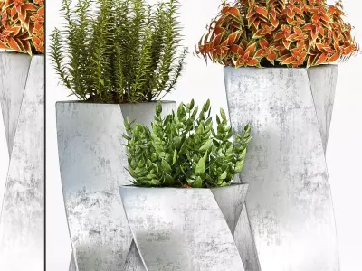 Decorative plant set-42 3D model