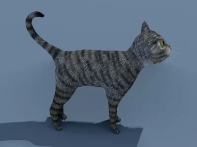 Cartoon Cat Brown Grey Striped 3D Model Low-poly 3D model