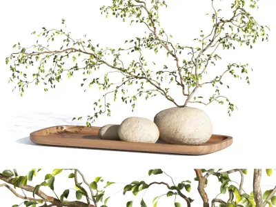 Plant Decor 3D model