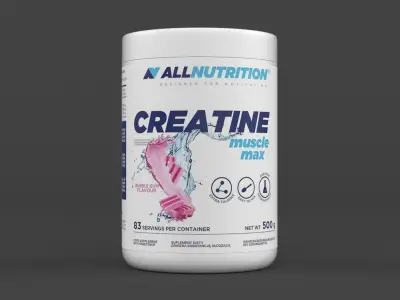 Protein Powder 3D model 155