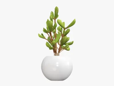 Potted plant decorative 08 3D model