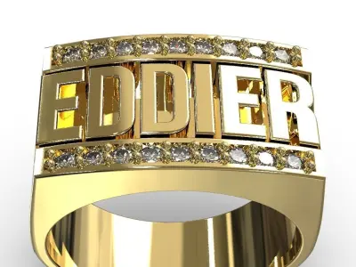 Eddier ring 3D print model