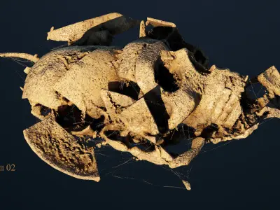 Broken Skull with Spiderwebs and Cobwebs for Unreal  Engine 5 3D model