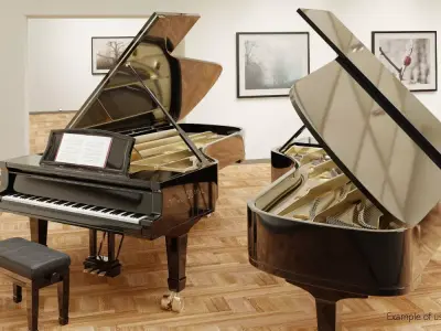 Grand Piano full detailed with Rig 3D model