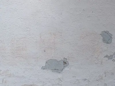 plaster 344 Texture