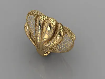 TORTURIAL RING 3D print model get