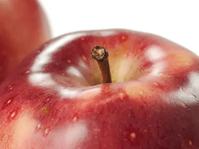 polypasta - apple 02 - red 3D model