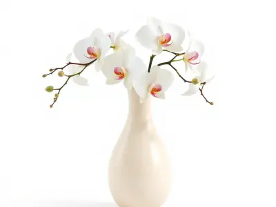 Elegant Orchid Vase model pack Low-poly 3D model
