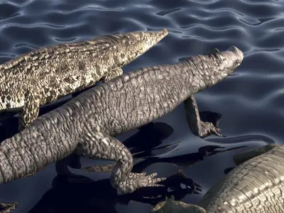 Crocodile Family In Water 3D model