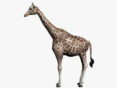 giraffe with clean topology and nice texture  3D model
