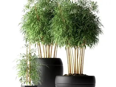 Bamboo plant 3D model