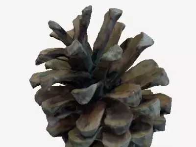 3D Printable pinecone STL model  3D print model