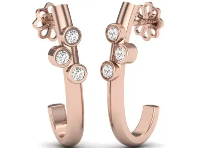 Jewelry Earrings  3D print model