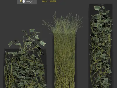 Plants in frosted vases 3D model