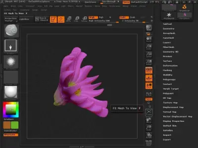 Claw fantasy flower artwork 3D model