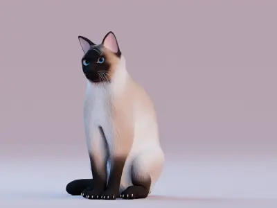 Low poly - Stylized cats - Siamese Cat Low-poly 3D model
