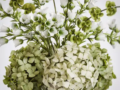 Botanical Trio Vase Set 3D model