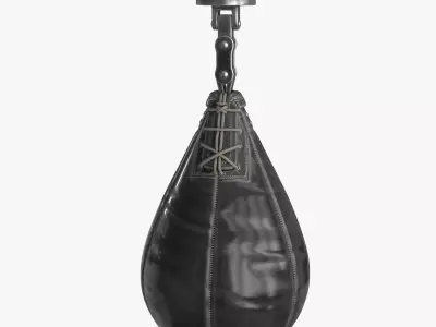 Boxing Punching Speed Bag v1 Low-poly 3D model