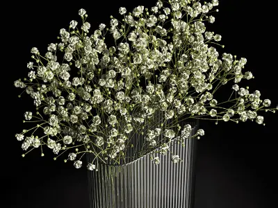 A bouquet of gypsophila 3D model