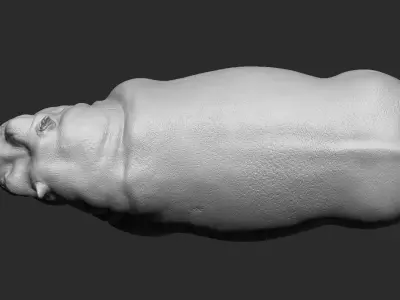 Hippopotamus - Sculpt 3D model