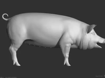 Pig - Highpoly Sculpture 3D model