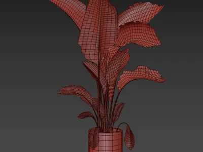 indoor plant 028 3D model