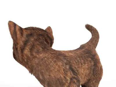 Fur Cure Kitten Red 02 Low-poly 3D model