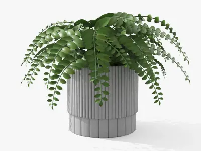 Plant Boho - Fern Low-poly 3D model