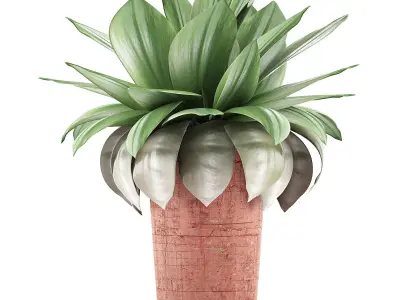 Plants Collection 78 3D model
