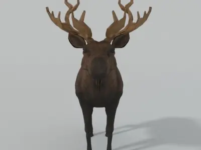 Moose with antlers Low-poly 3D model purchase
