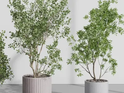 A Collection Trees in a concrete dirty vase - indoor plant 395 Low-poly 3D model