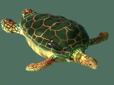 turtle 3D model