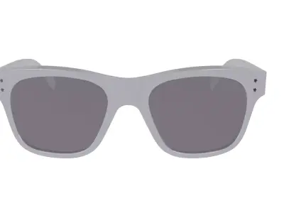 SUNGLASSES 3D model