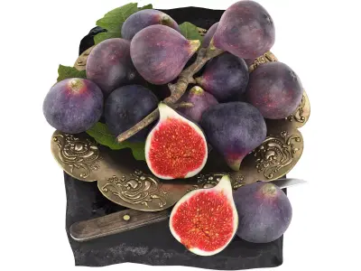 plate of figs fruit 3D model